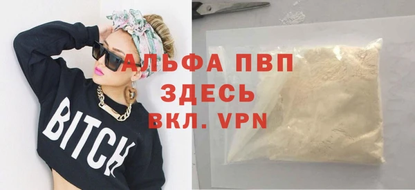 шишки Новозыбков