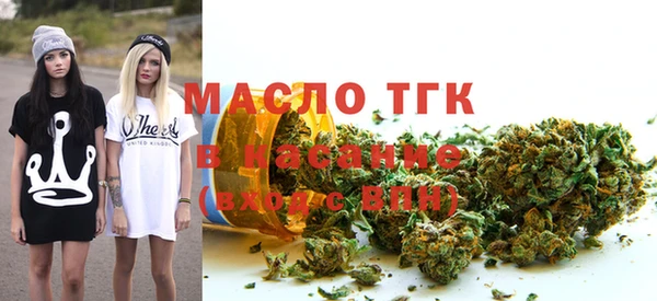 крисы Новодвинск