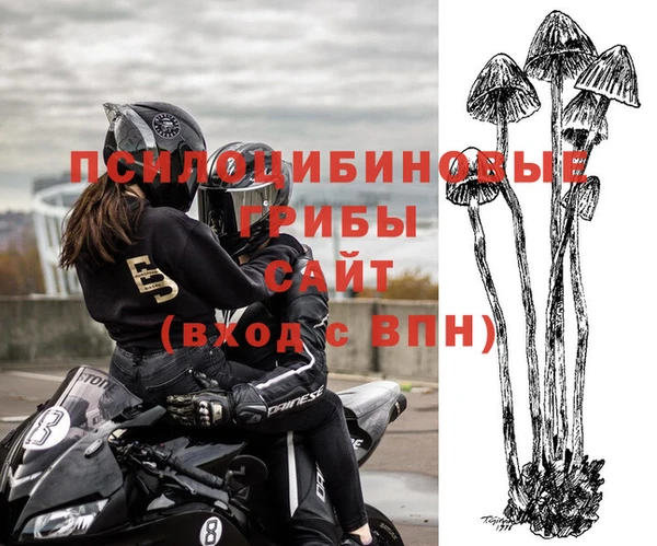 крисы Новодвинск