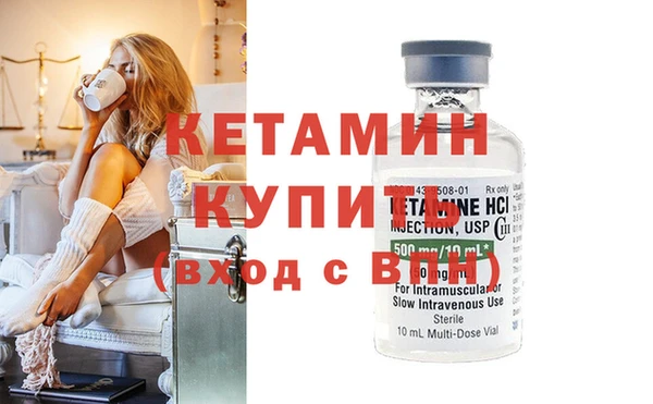 шишки Новозыбков