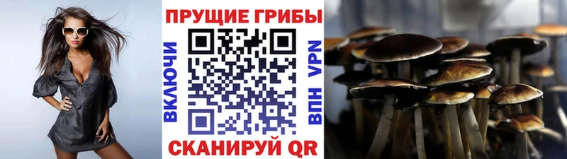 Псилоцибиновые грибы Cubensis Солнечногорск